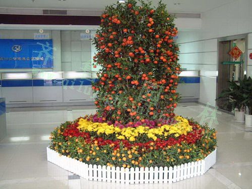 ��ɰ��+�ջ�