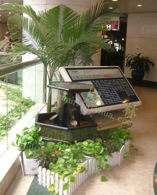 ��ֲ���(С)