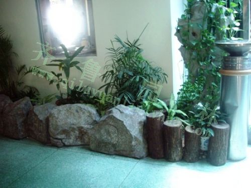 ��ͥ����