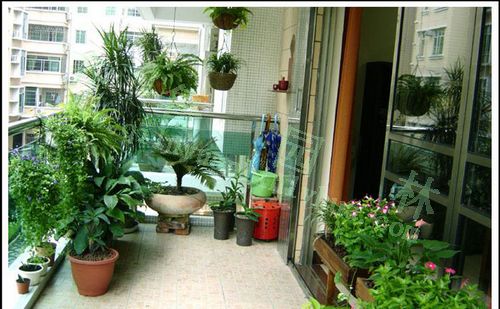 ��ͥ����