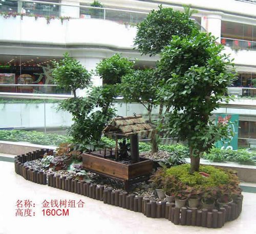 ����Ч��ͼ