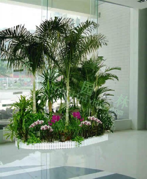 ����Ч��ͼ