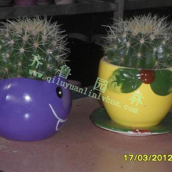 ��Ʒ������1