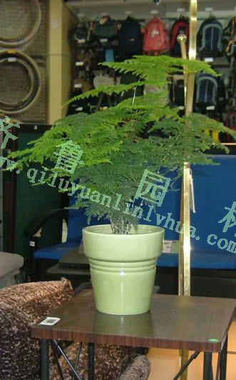 ��Ʒ����