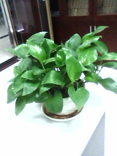 С�������