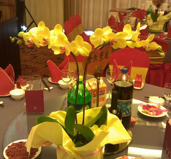 ��ɫ������