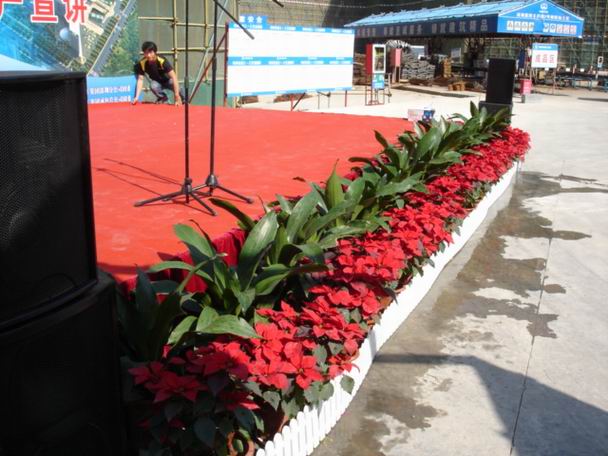 ��̨����