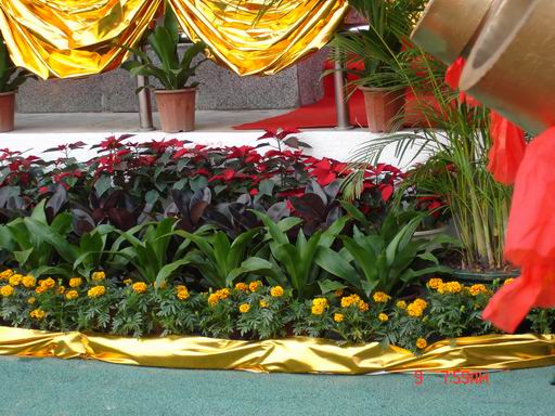 ��̨����