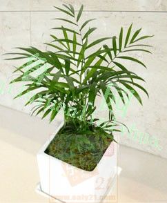 ��Ʒ��������