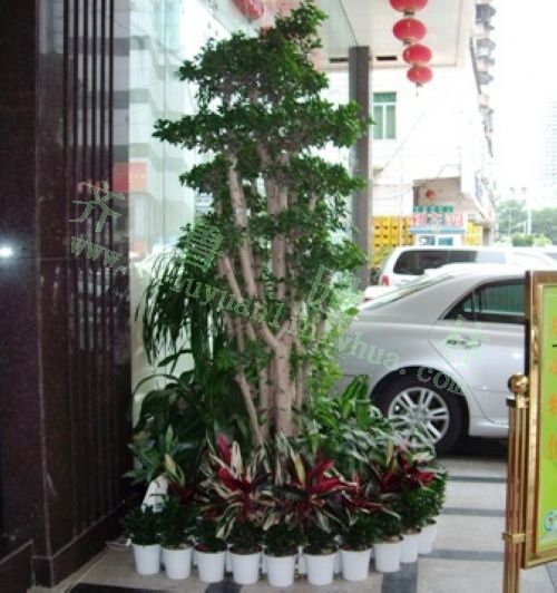 �������辰